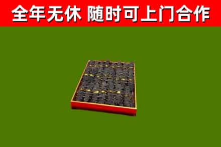 迭部县回收海参